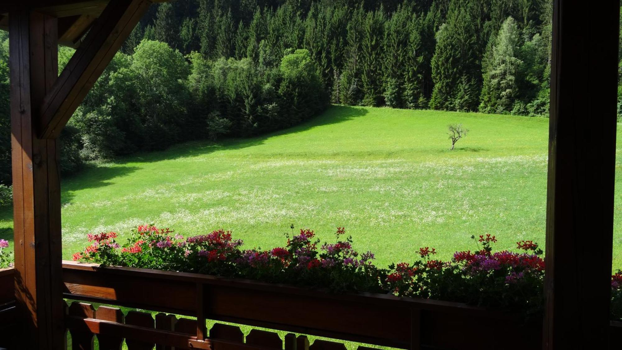 Ferienhaus Enzi Вайсбриах Экстерьер фото